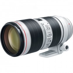 Canon Lente Zoom EF 70-200mm f/2.8L III USM Telephoto con estabilizador