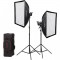 Godox Kit 2 LED SL60IIBI bicolor con softbox