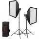 Godox Kit 2 LED SL60IIBI bicolor con softbox