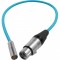 Kondor Blue Cable Audio Mini-XLR a XLR hembra 