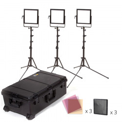 Rosco Kit de iluminación Vector LitePad Luz de día para locación de 3 luces con trípodes y maleta
